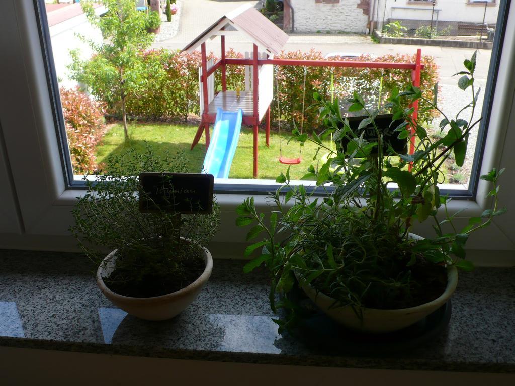 Ferienwohnung Sonnenschein Райнхаузен Екстериор снимка